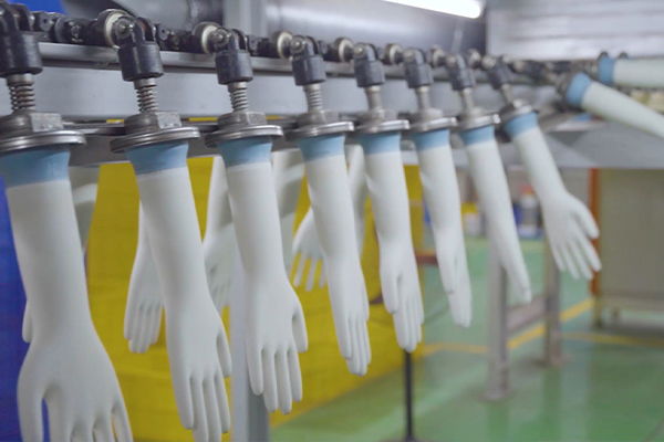 Production of Thai Hoa Cleanroom Gloves