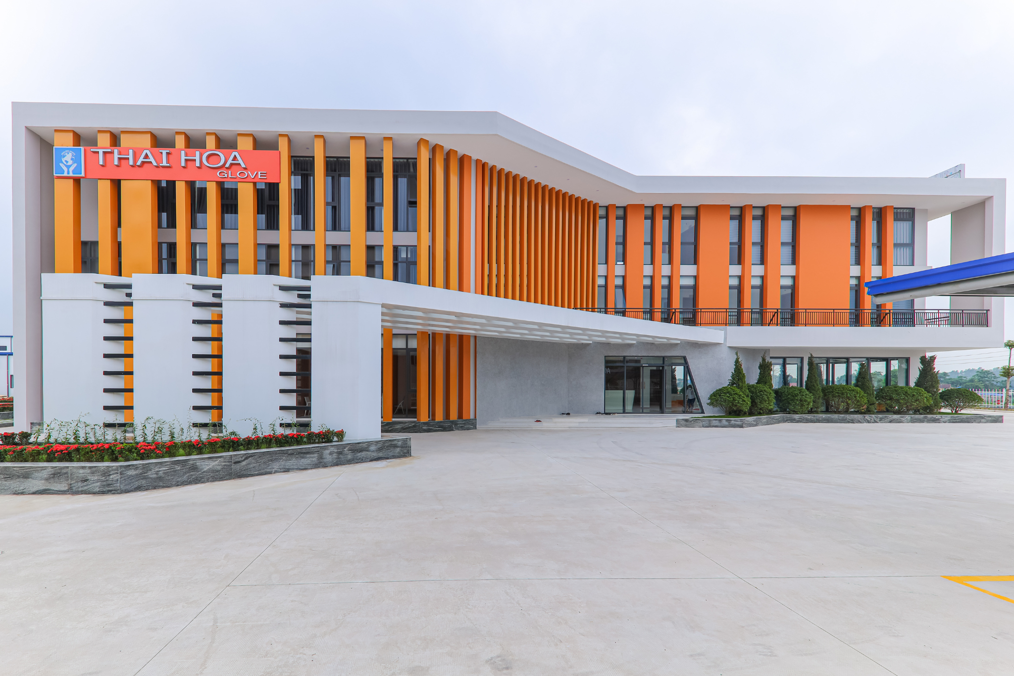 nha may san xuat gang tay thai hoa